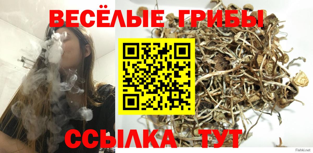 Галлюциногенные грибы GOLDEN TEACHER Ялта