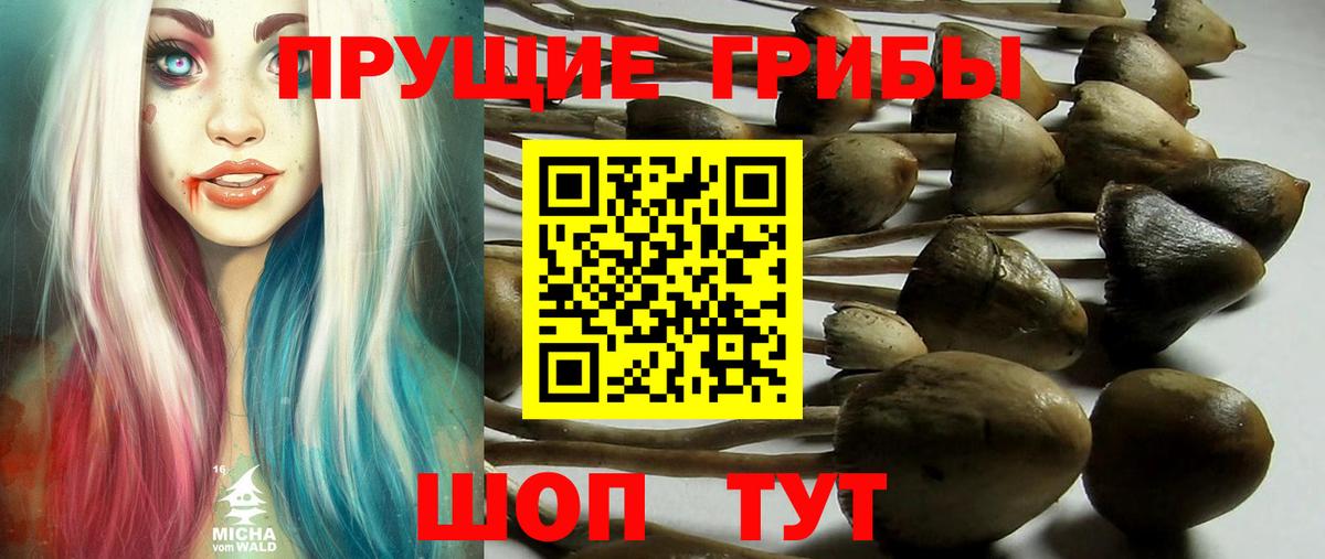 Ялта  Галлюциногенные грибы Magic Shrooms  Вход с VPN 