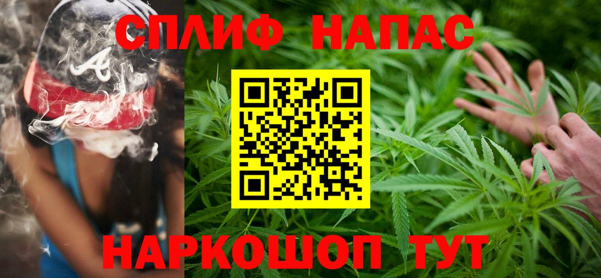 Конопля сатива Ялта